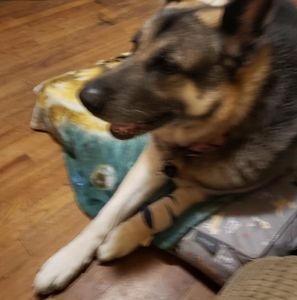 Meet your Posher, Donna